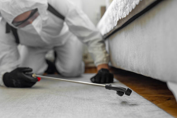 Professional Emergency Pest Control technician working in Bunker Hill Village, TX