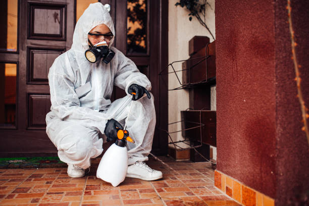 Reliable Emergency Pest Control contractor in Bunker Hill Village, TX by Nex Pest Control