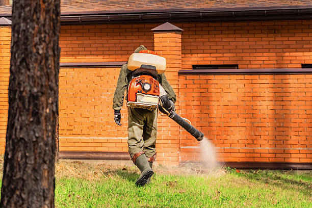 Trusted Fumigation Services service in Bunker Hill Village, TX - Nex Pest Control
